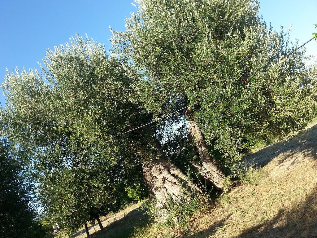 Masseria Marico Castellaneta Kültér fotó