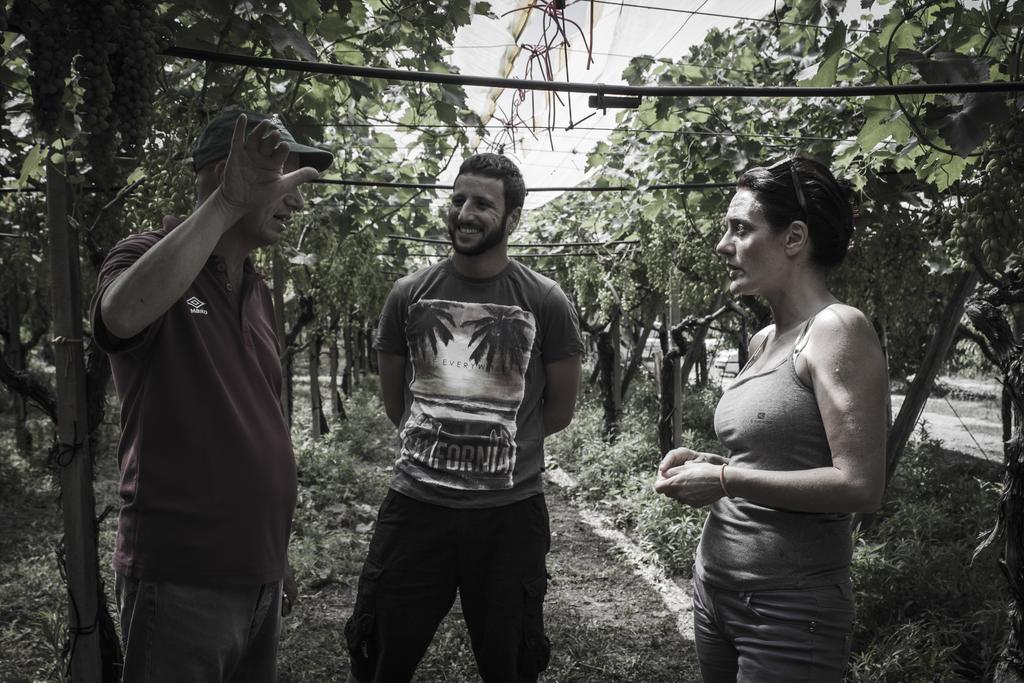 Masseria Marico Castellaneta Kültér fotó