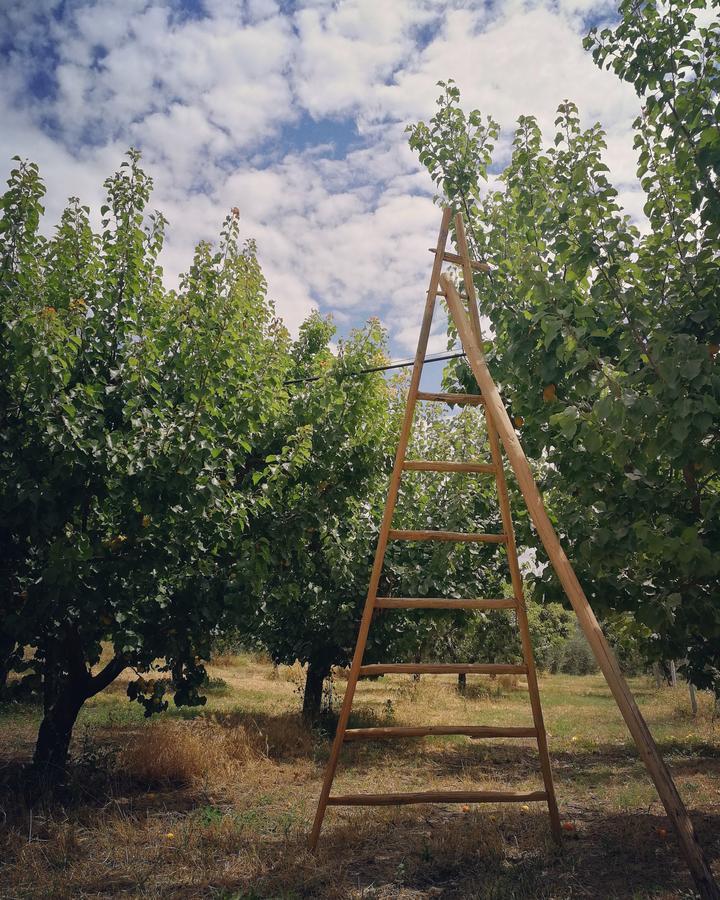 Masseria Marico Castellaneta Kültér fotó