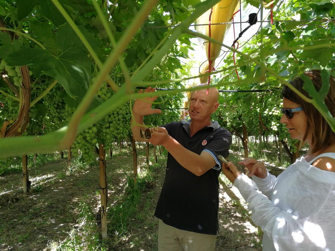 Masseria Marico Castellaneta Kültér fotó